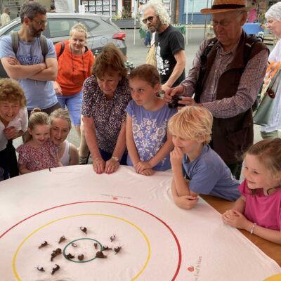 THEY'RE OFF: Snails race